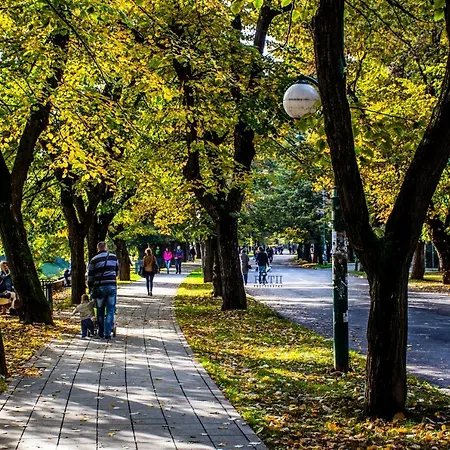 Appartement Red Dream *